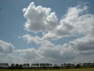 naar vragen - 2